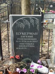 Цукерман Евгений Соломонович, Москва, Востряковское кладбище